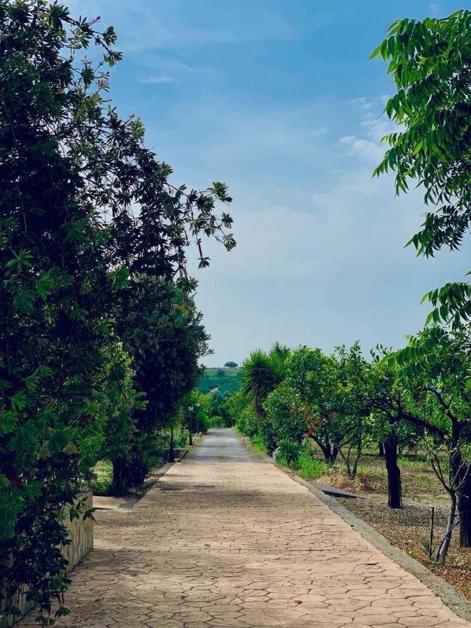 Il Giardino Delle Zagare Villa Калатабиано Екстериор снимка